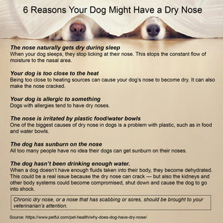 Dog Sore Skin Relief Cream for Itchy, Irritated Skin – 2 oz