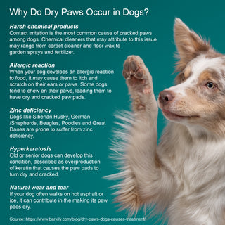 Dog Sore Skin Relief Cream for Itchy, Irritated Skin – 2 oz