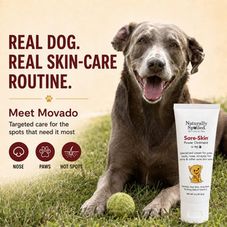 Healing Cream for Dogs with Dry, Irritated & Itchy Skin | Fast-Absorbing Pet Skin Relief | 2 oz